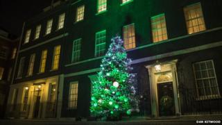 Tree outside Downing Street