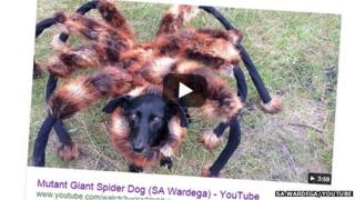Mutant Giant Spider Dog