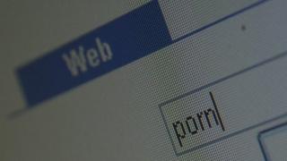 Computer internet website search for pornography