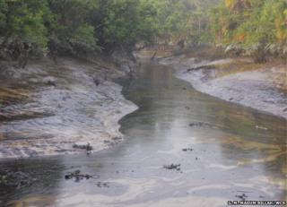 A river inside the forest with both banks awash with oil.