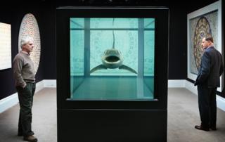 Hirst's Shark