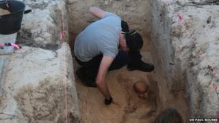 The excavated skeleton