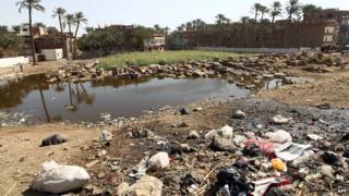 Polluted water at an archaeological site in Egypt
