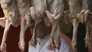 Halal chickens at a butcher in London