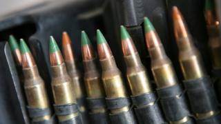 The rule change would have affected only "M855 green tip" ammunition