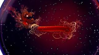 Bacteria programmed by Tal Danino