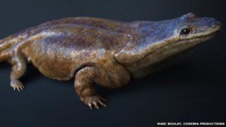 'Monster salamanders' found in fossilised mass grave - BBC News