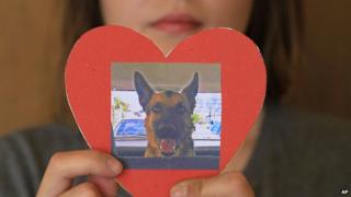 Hermosillo resident Julieta Robles, with a picture of her poisoned dog, Box
