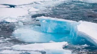 Arctic sea ice
