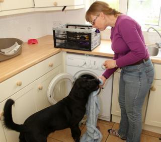 Tony with Hetty getting washing out the machine