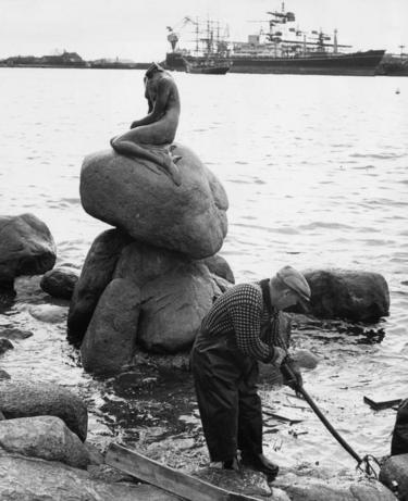 A workman dredging the harbour in Copenhagen after the statue of the Little Mermaid was vandalised and beheaded