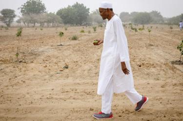 This handout photo taken on December 9, 2017 by the Nigerian State House shows Nigerian President Muhammadu Bihari walking on his farm in Daura, Katsina State.