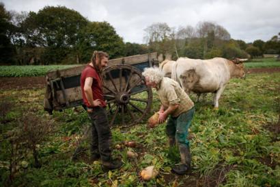 Farming