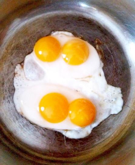 بيض بط مقلي