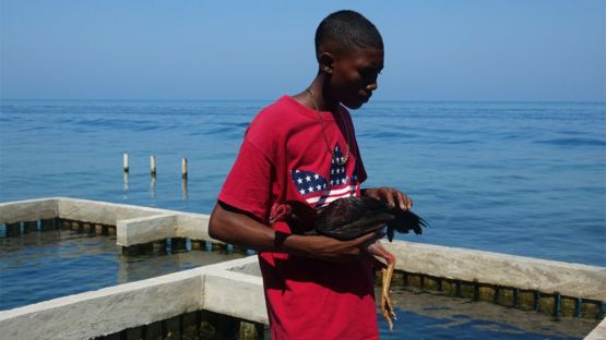 Joven con un gallo de pelea