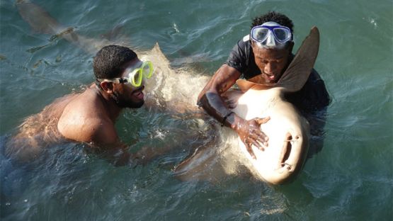 Dos hombres con un tiburón