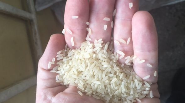 fake rice