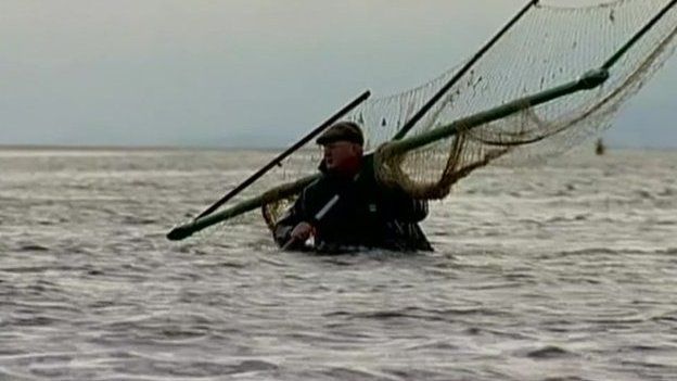 A haafnetter