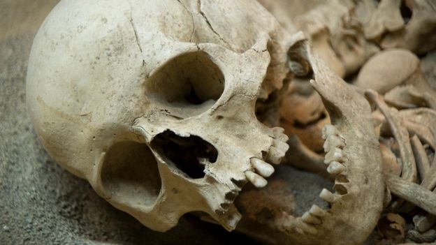 Cráneo de Neandertal