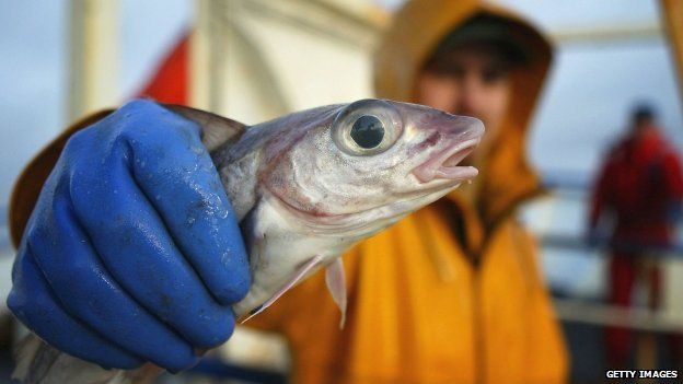 Fisherman holding a fish (Getty Images)