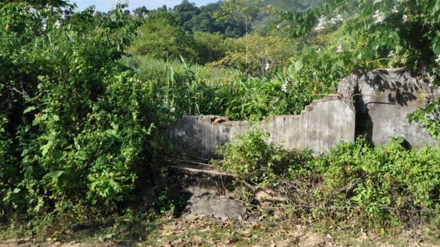 A wall destroyed by an elephant