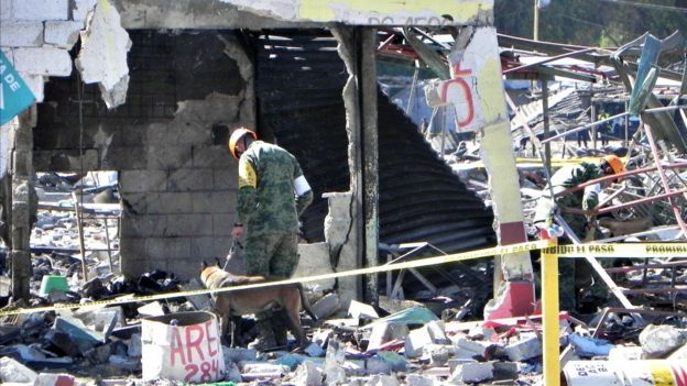 El ejército recorre los escombros con perros adiestrados para localizar personas.