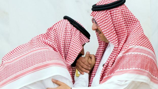 محمد بن نايف ومحمد بن سلمان