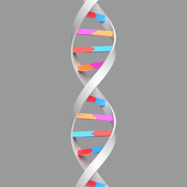 Estrutura molecular do DNA
