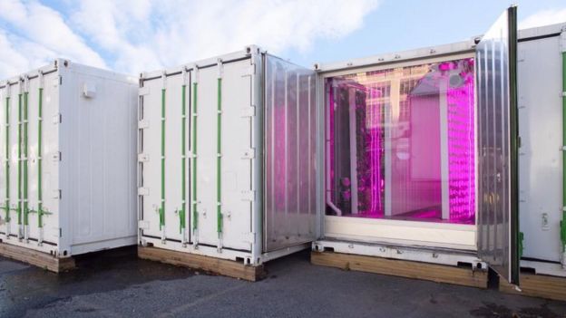 Jardins verticais da Square Roots, empresa de Kimbal Musk