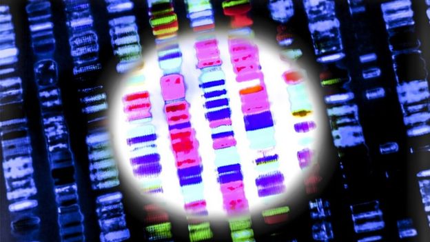 DNA sequence