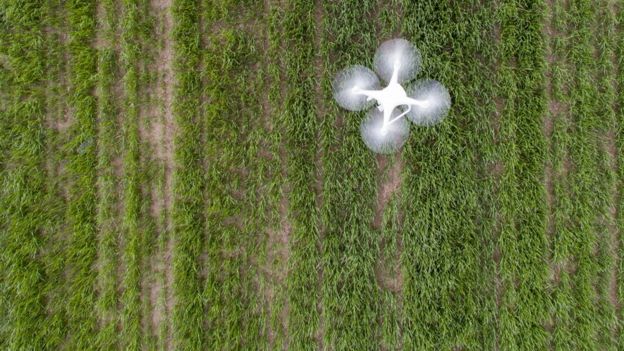 Drone sobrevolando campo