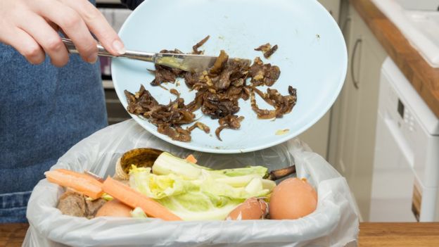 Comida tirada a la basura