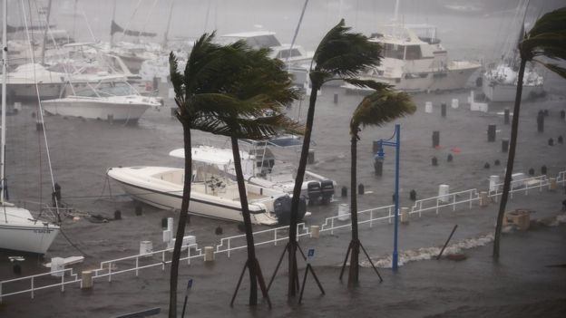 Boats at marina in Miami