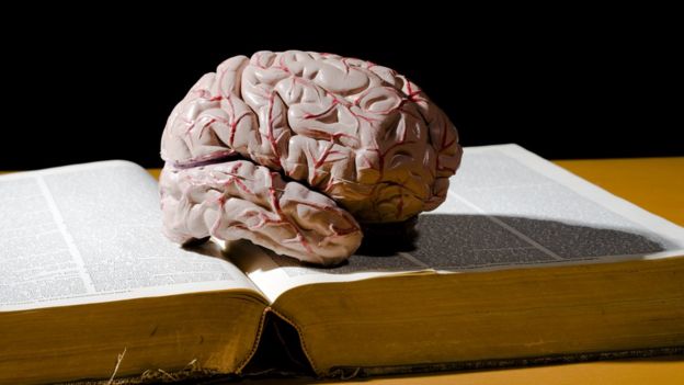 Reprodução de um cérebro sobre um livro