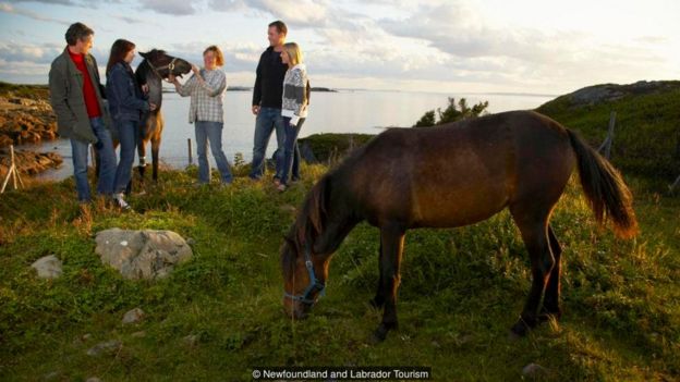 Newfoundland and Labrador Tourism