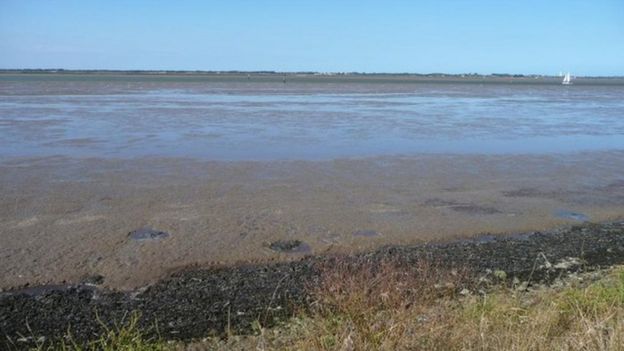 Image result for breydon water