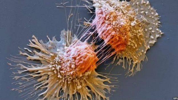 ஜான்சன்&ஜான்சன்