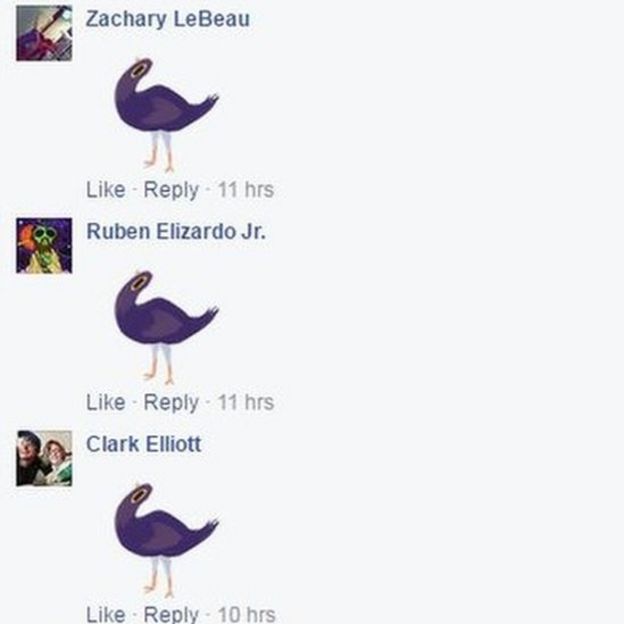 What does this purple bird mean? - BBC News