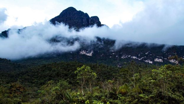 Pico da Neblina