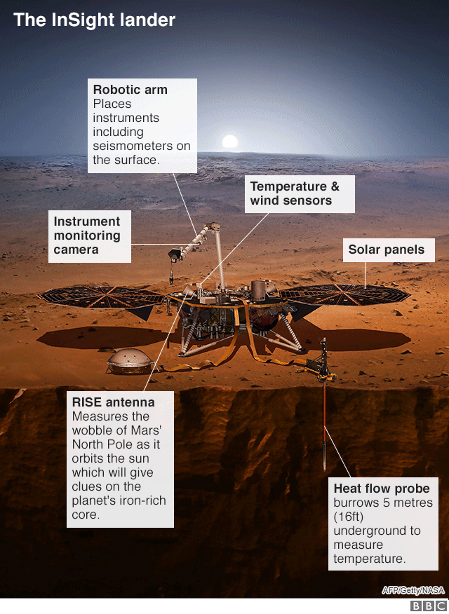 InSight diagram