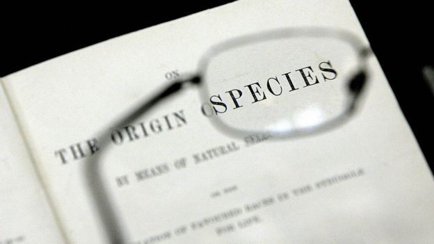 Origin of Species cover