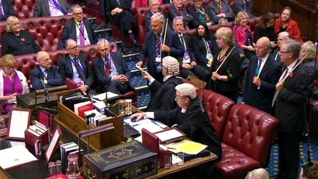 House of Lords vote