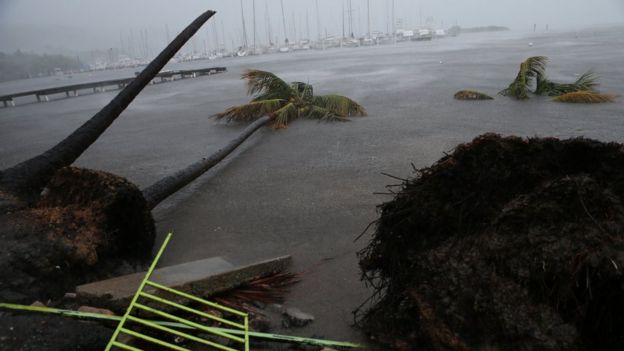 Porto Rico após o furacão Irma
