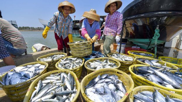 海南琼海潭门中心渔港渔民将休渔前最后一批渔产品从船上卸下（中新社图片1/5/2017）