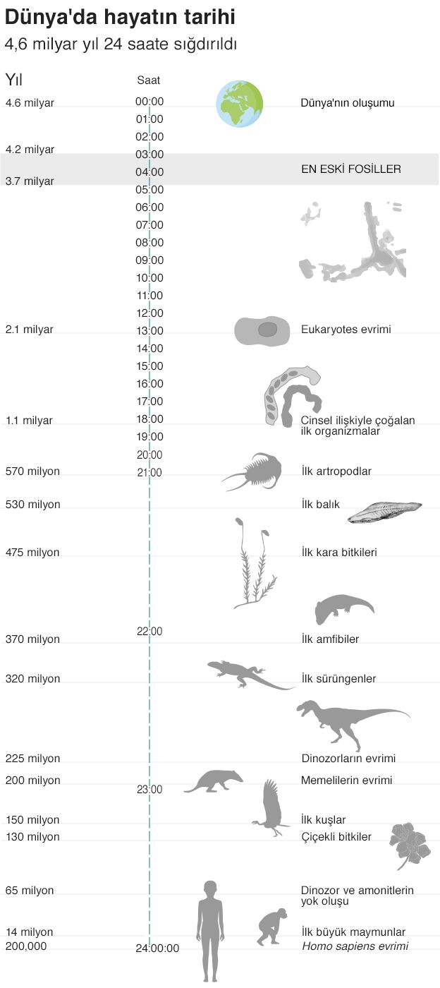 Fosiller infografik