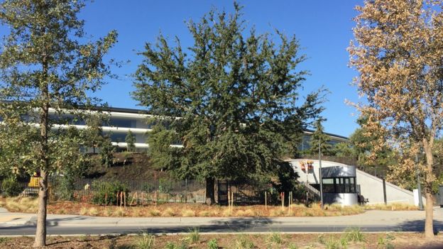 Sede de Apple en Cupertino, California (Foto: Beatriz Díez)