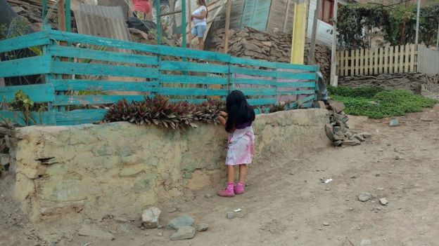 Comunidad de Eliseo Collazos en Lima recogiendo una fruta