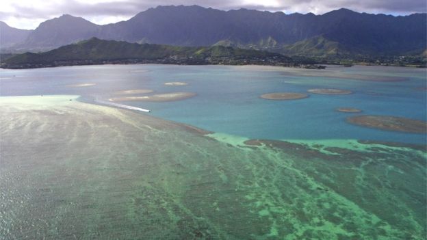 Arrecifes de coral en la costa de Oahu, en Hawái.