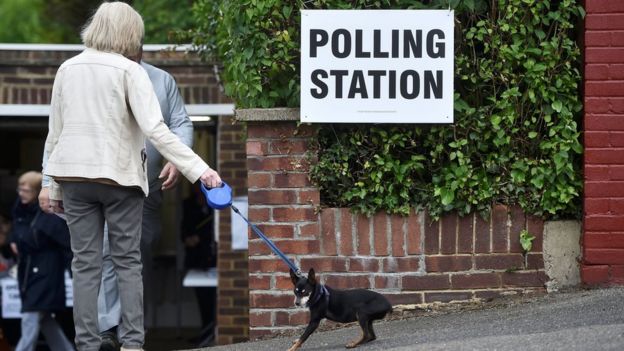 A woman and her dog outside a polling station