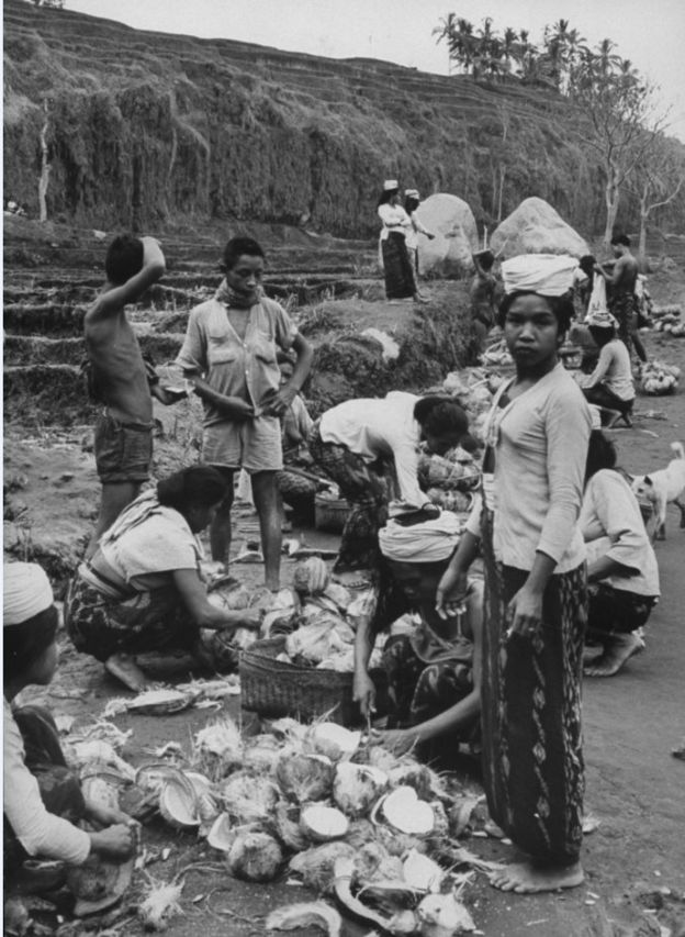 Warga desa mengupas kelapa, beberapa saat setelah letusan 1963.